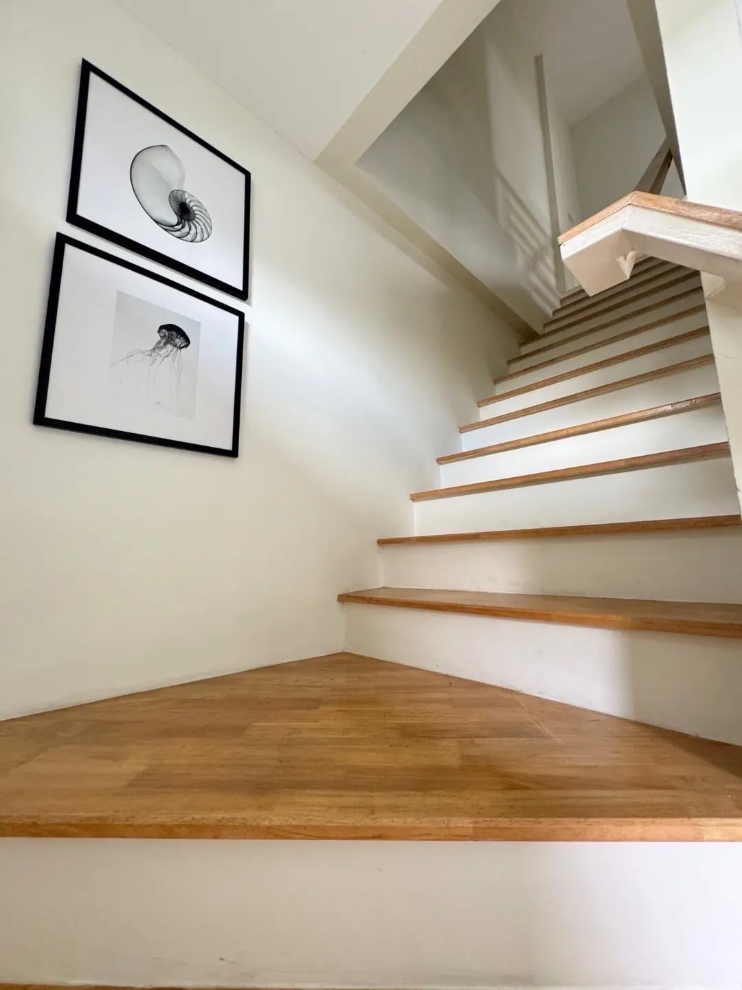 โครงการปานรดา