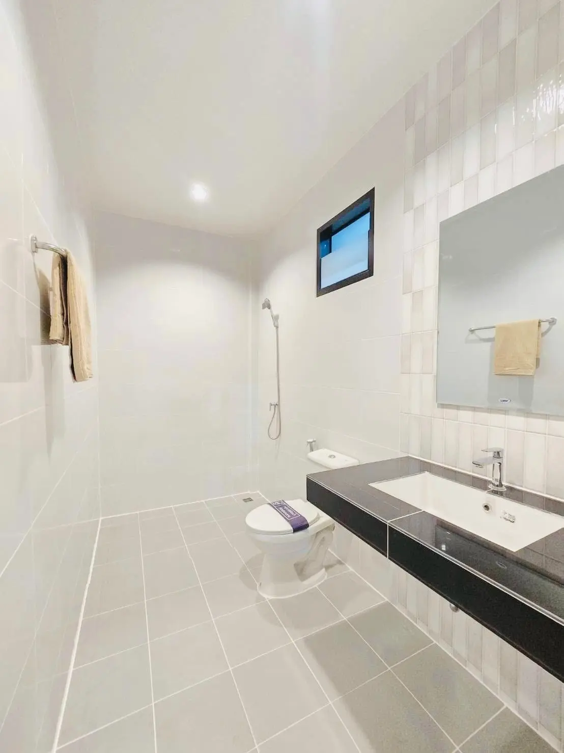 โครงการบริสทาวน์